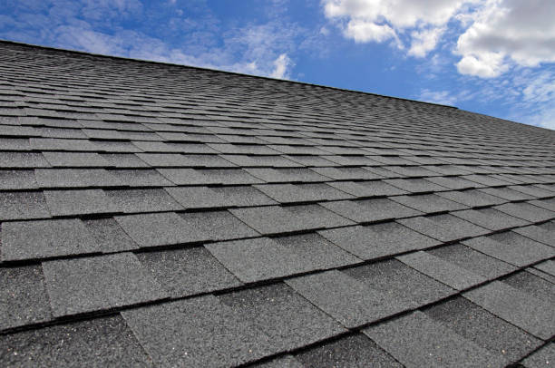 Best Roof Maintenance and Cleaning  in St Paul Park, MN